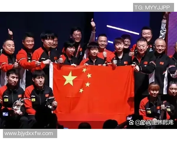 深圳乒乓球队的拼搏之路与欧锦赛荣耀背后的故事